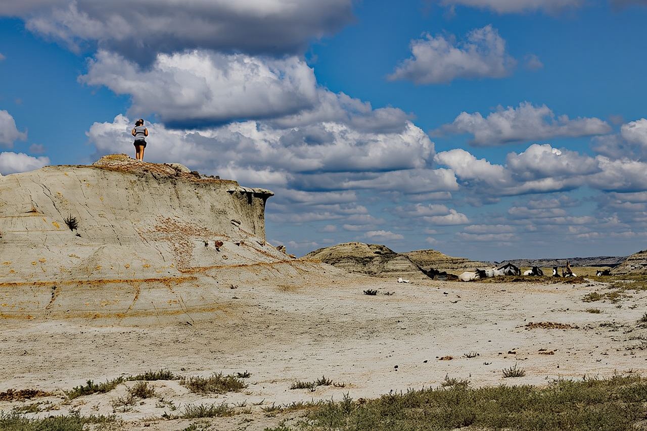 Trải nghiệm Đuổi Ngựa Trở Về Thiên Nhiên ở Bắc Dakota