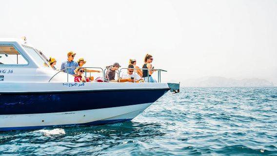 Dolphin Watching in Muscat