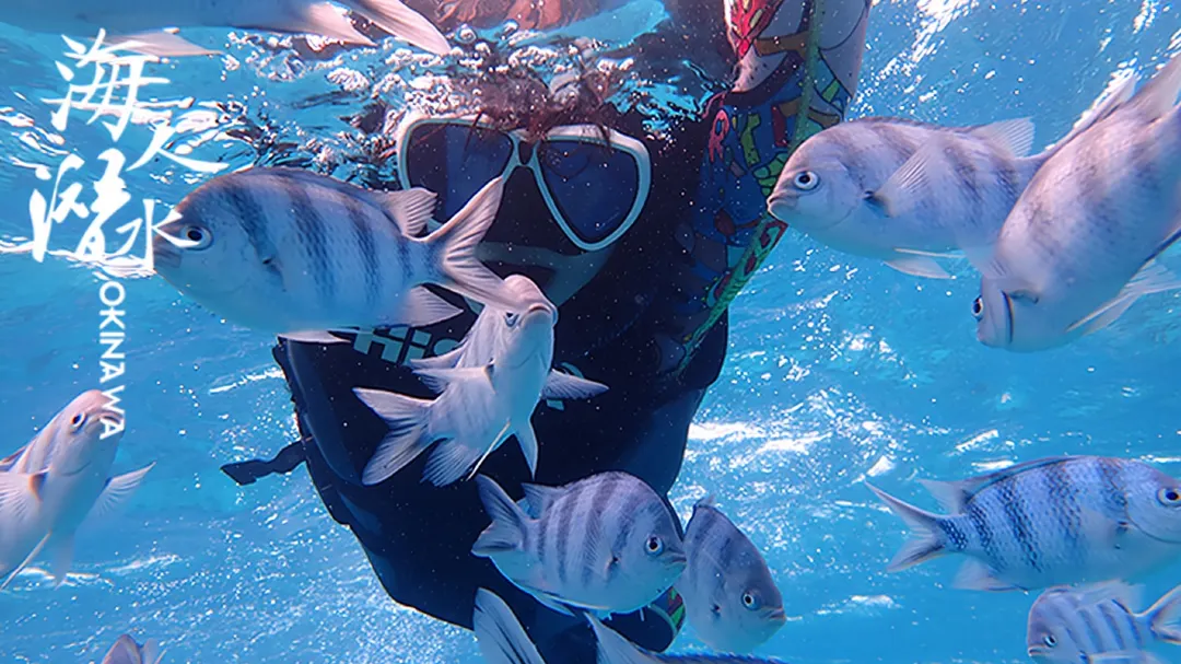 沖繩浮潛 | 浮潛・自由潛水・考證課程