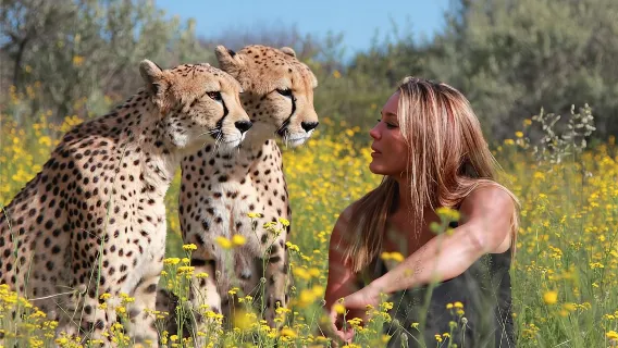 Depart from Windhoek|Naankuse Cheetah Interactive Experience Half Day Tour