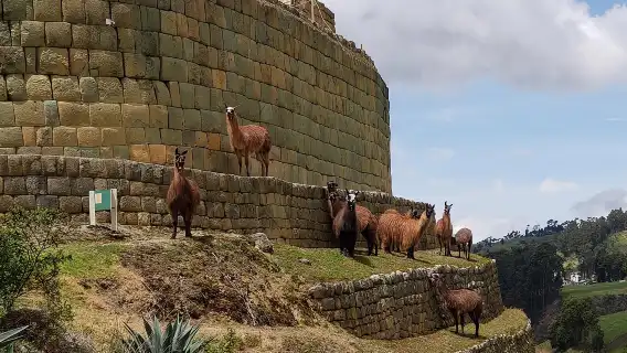 Full-Day Ingapirca, Gualaceo & Chordeleg from Cuenca