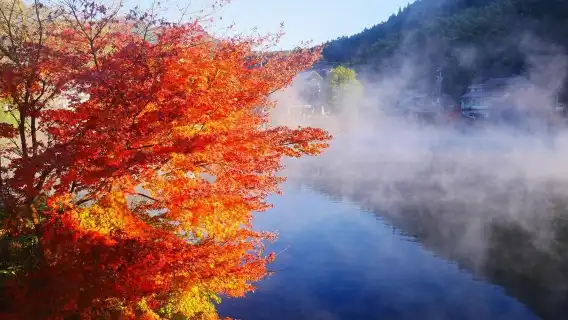 Kyushu Relaxation Tour: Dazaifu, Nyoirinji Temple, Yufuin & Optional Scenic Train