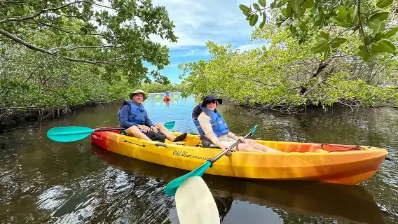 Robinson Preserve Mangrove Tour