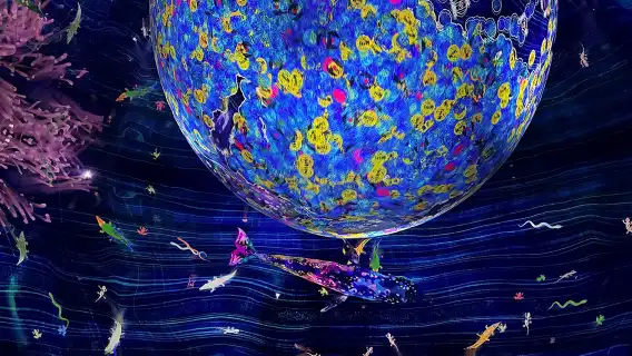 Teamlab現像阿布達比+羅浮宮+謝赫扎耶德大清真寺一日遊