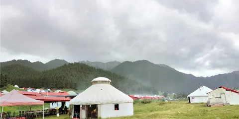 【精品包車遊+瀑布】南山牧場+西白楊溝-神布拉克瀑布一日遊