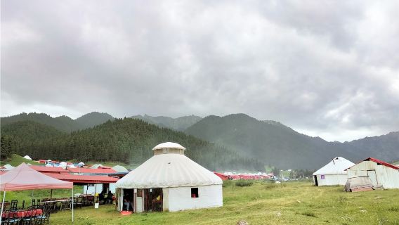 Premium private chartered tour + waterfall: Nanshan Ranch + West Poplar Valley - Shenbulake Waterfall 1-day tour