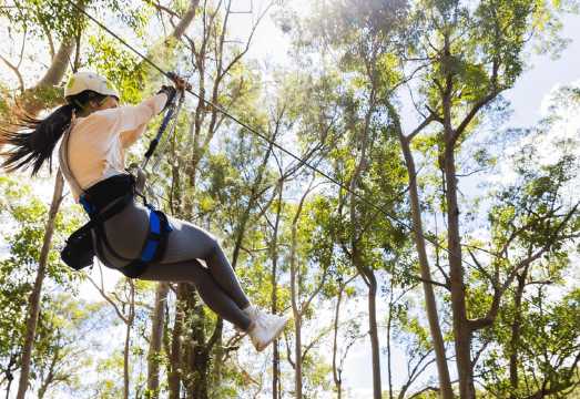 Gold Coast: Tamborine Mountain Canyon Flyer Zipline Tour AUD 128.13