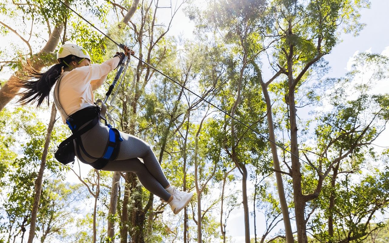 Gold Coast: Tamborine Mountain Canyon Flyer Zipline Tour