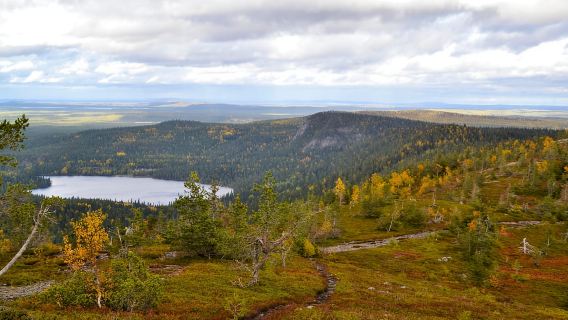 Ruka: Escursione al sole di mezzanotte a Valtavaara