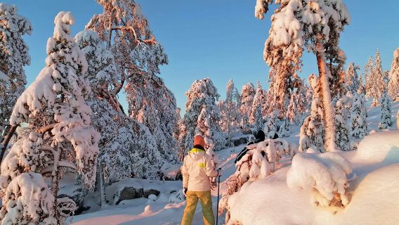 Luleå: kasut salji dalam alam semula jadi dengan panduan pakar!