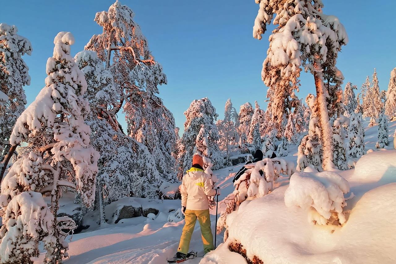 Luleå: snowshoeing in pristine nature with an expert guide!