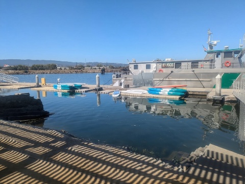 紅木城：直立板租賃服務