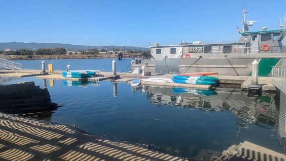 Redwood City: noleggio di tavole da paddleboard