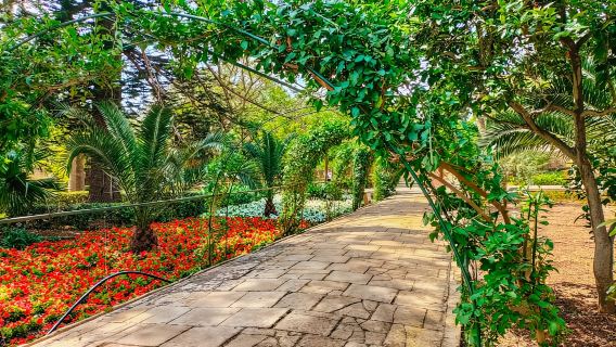Malta: tour di un giorno intero con pranzo a Malta e Mdina