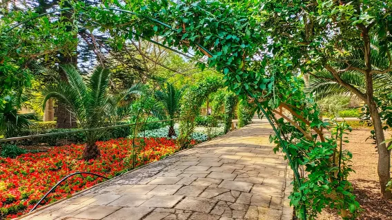 Malta: Sorotan Malta & Lawatan Sehari Mdina dengan Makan Tengahari