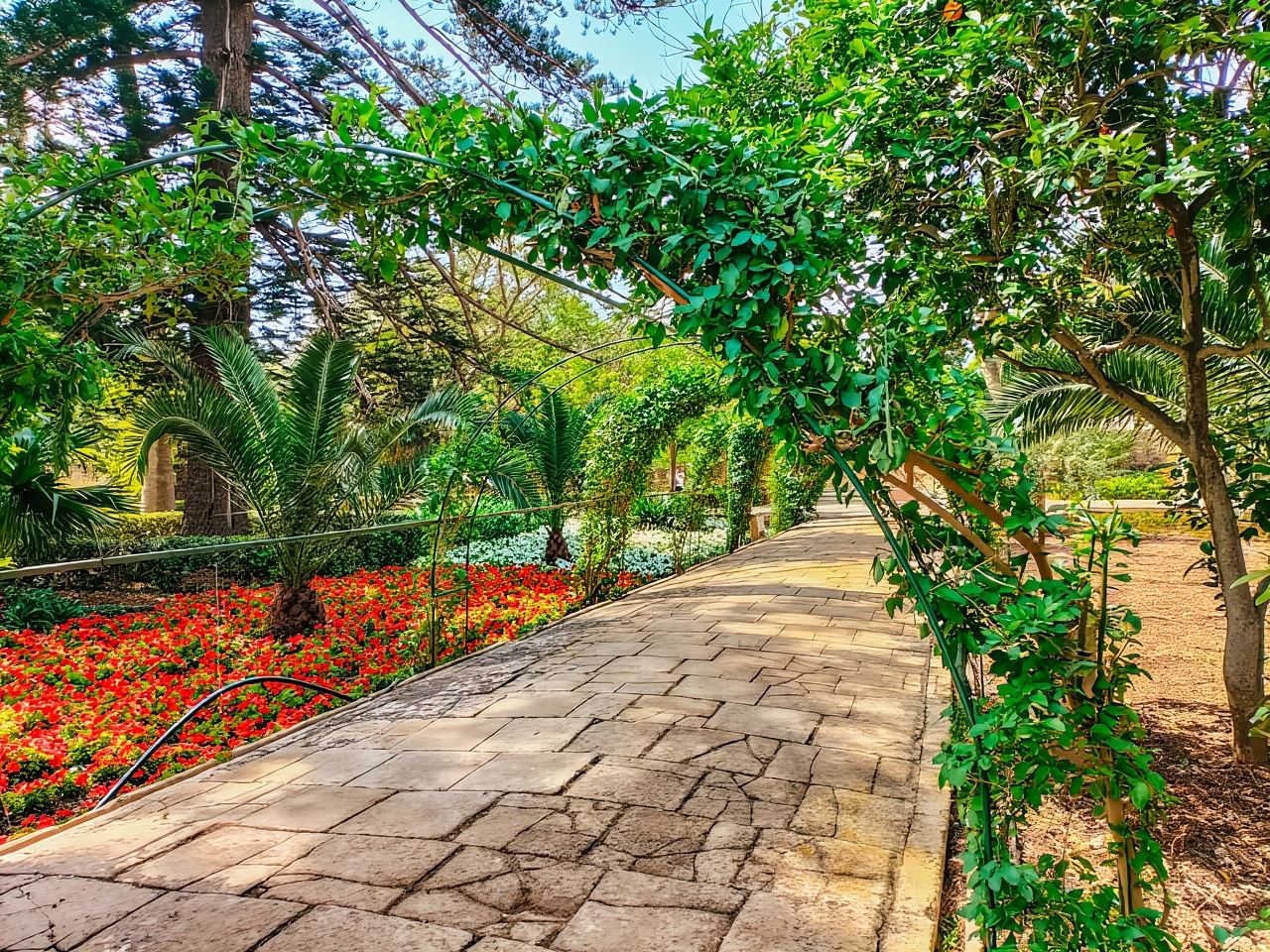 Malta: Lo más destacado de Malta y Mdina: tour de un día completo con almuerzo
