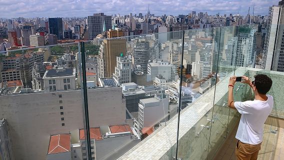 Santos: Private 8-hour São Paulo Overview