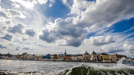 Stoccolma: tour in barca del Royal Djurgården