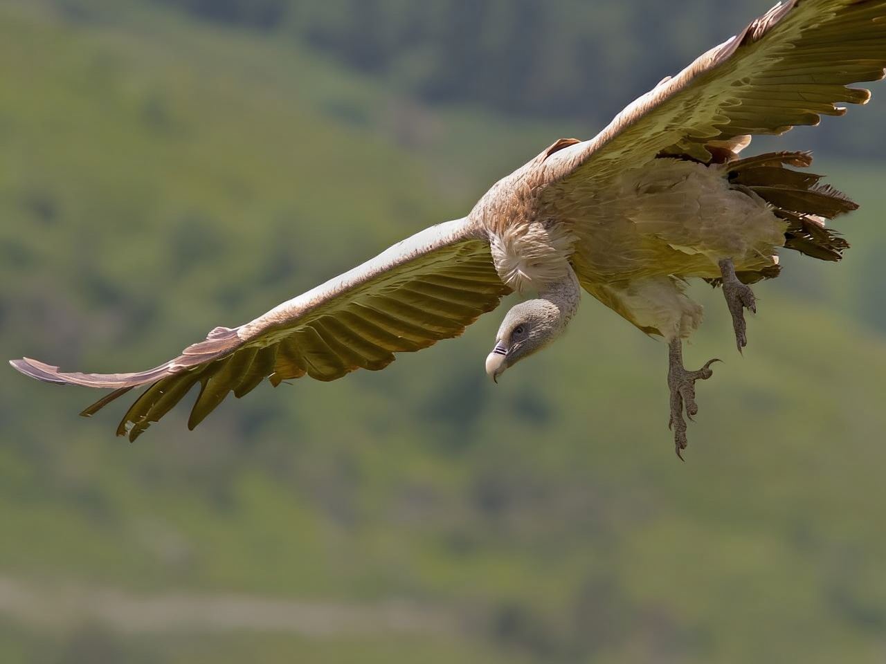 Da Malaga: escursione a Torcal de Antequera