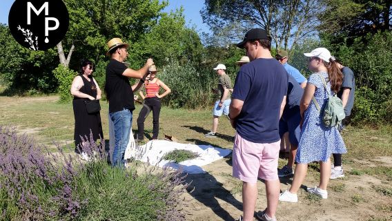 Visite des champs de lavande et de la distillerie entre Nîmes et Arles
