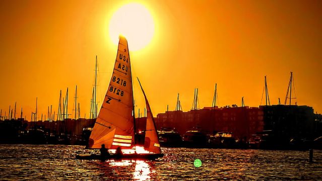 Marina Del Rey: Romantic Cruise, Wine, Cheese, Sealions