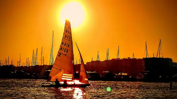 Los Angeles Luxury Boat Cruise Wine, Charcuterie Sealions