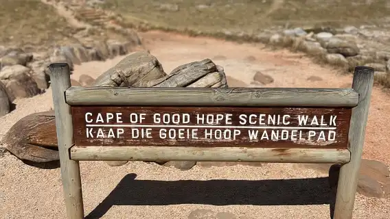 Cape of Good Hope, Chapman's Peak Drive, Penguins , Seals