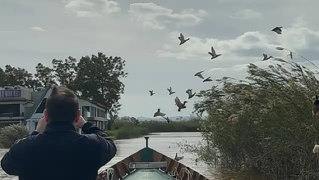 Albufera Valencia: Guided electric boat ride, also at sunset