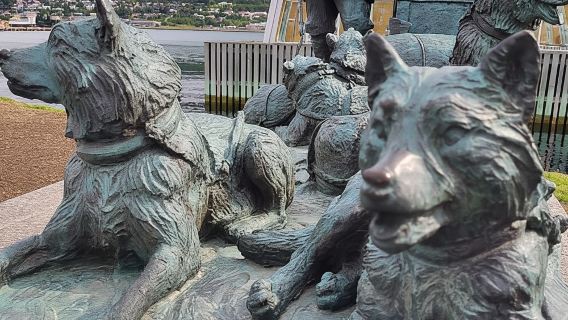 Tromsø: Geführter Eisbärenspaziergang inkl. Polaria & Polarmuseum