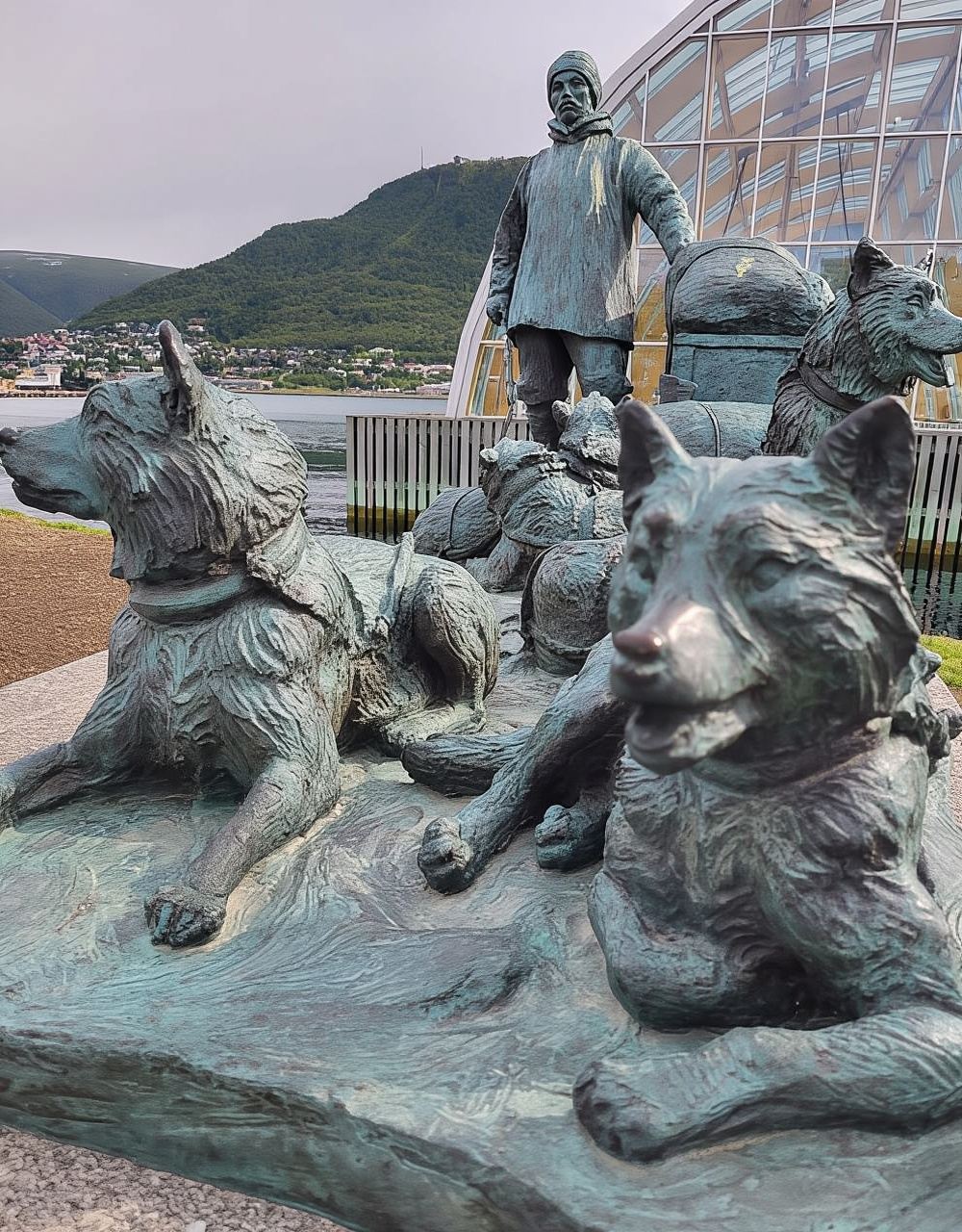 Tromsø: Guided Polar Bear Walk incl. Polaria & Polar Museum