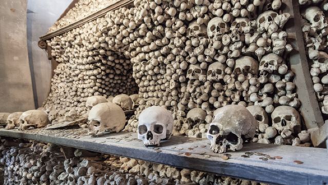 Private Guided Tour Prague to UNESCO Kutna Hora with Transfers