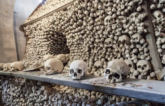 布拉格至聯合國教科文組織庫特納霍拉私人導賞團連接送