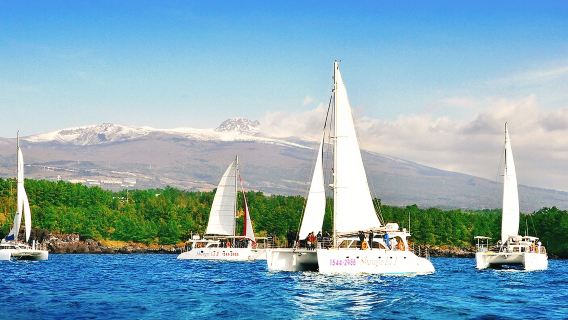 퍼시픽 마리나, 서귀포, 제주도, 대한민국