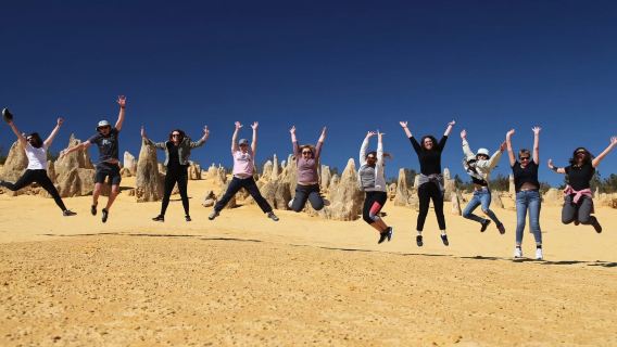 Perth, Australia: perjalanan satu hari ke Pinnacles, Pabrik Lobster, dan Perkebunan Lavender