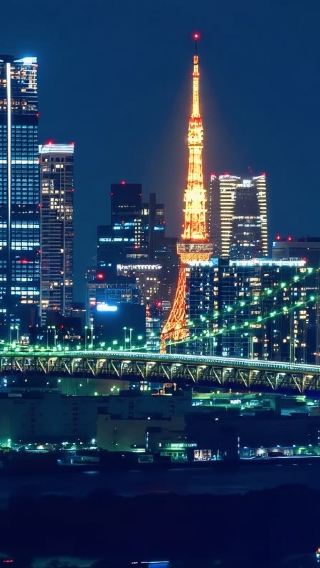 From Tokyo: Daikoku PA + Umihotaru PA + Tokyo Bay + JDM tour