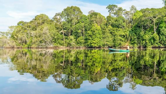 Brasilien: Tagesausflug in den Amazonas-Regenwald ab Manaus – Kleingruppe mit 12 Personen / Dschungelwanderung