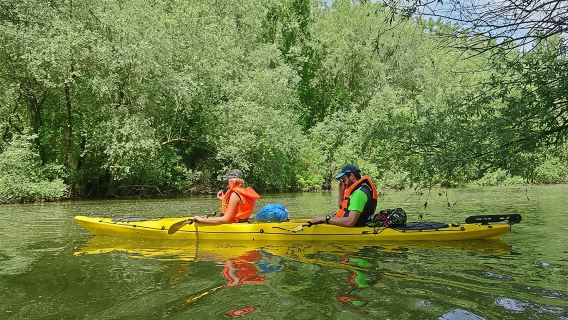 Belgrade War Island Kayak Tour