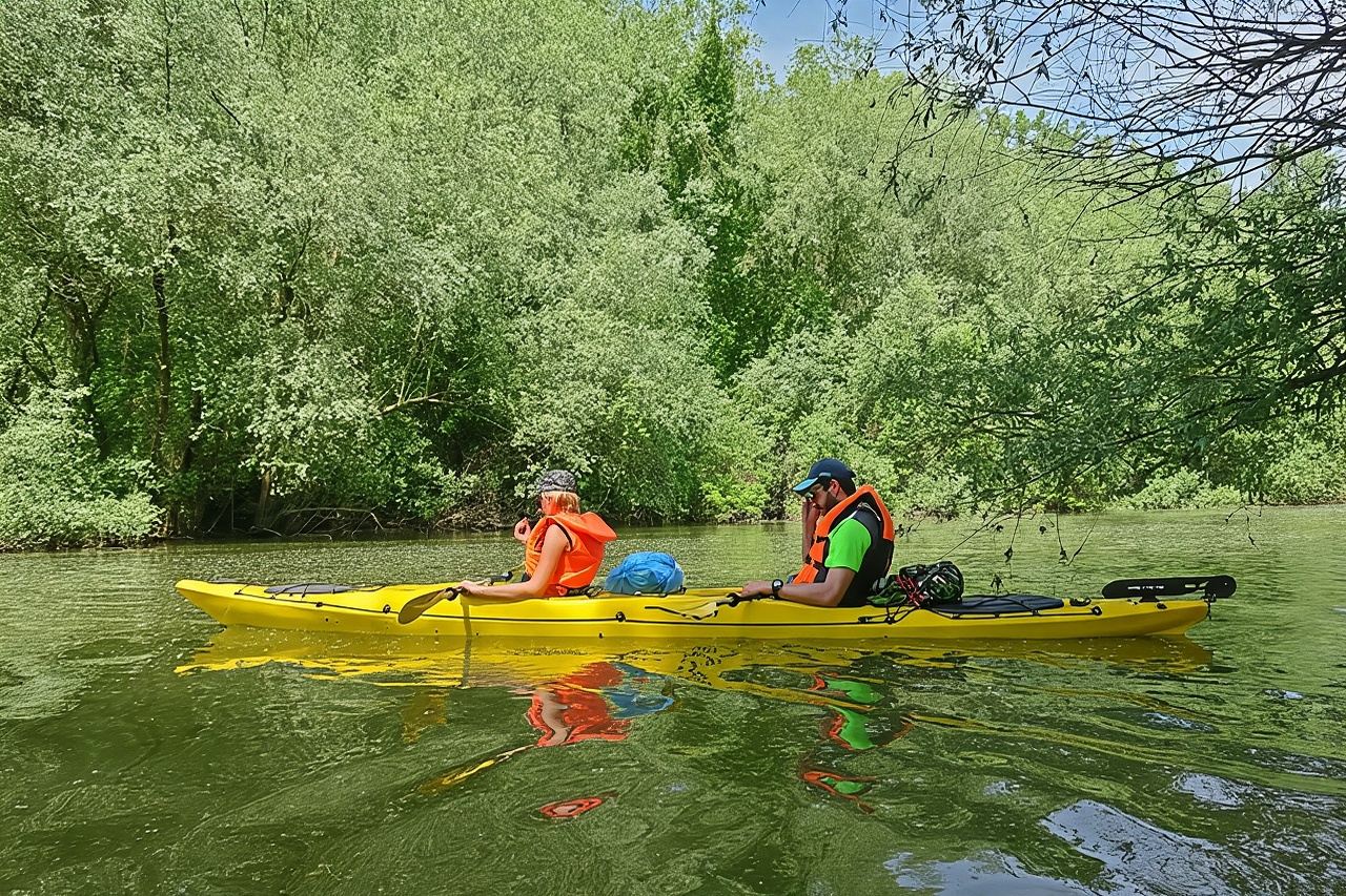 Recorrido en kayak por la isla de la guerra de Belgrado