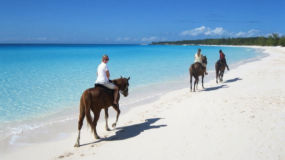 Private Macao Beach horseback riding in punta cana