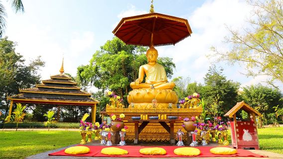 雲南西雙版納打洛鎮+勐景來+國門+獨樹成林設施一日遊