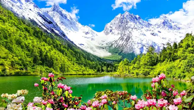 Sichuan Bipenggou Scenic Area Private Day Tour from Chengdu