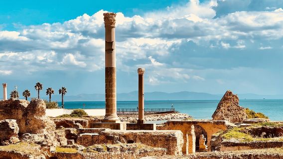 Tour di mezza giornata alla scoperta di Cartagine con guida autorizzata
