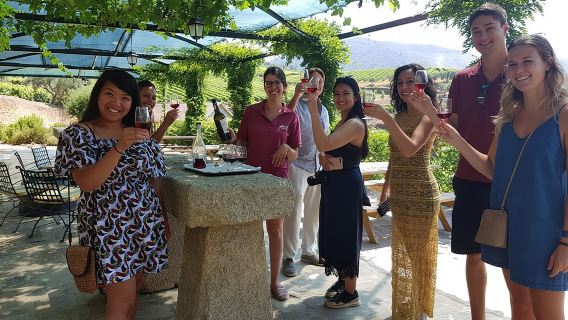 Douro Valley for Wine Lovers with Visit to 3 Vineyards and Lunch at a Winery