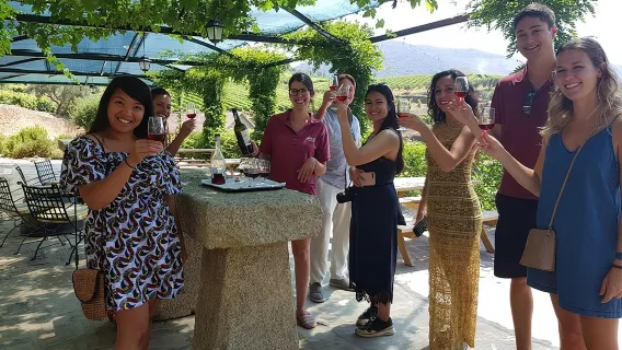 Valle del Douro per gli amanti del vino con visita a 3 vigneti e pranzo in una cantina vinicola