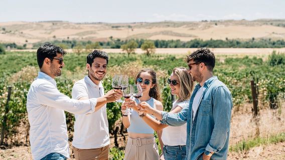 Toledo City Tour, Winery Experience & Wine Tasting from Madrid