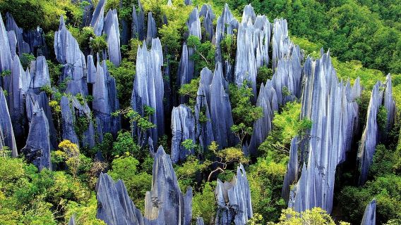 Kunming Private Day Tour to Stone Forest and Chengzi Ancient Town