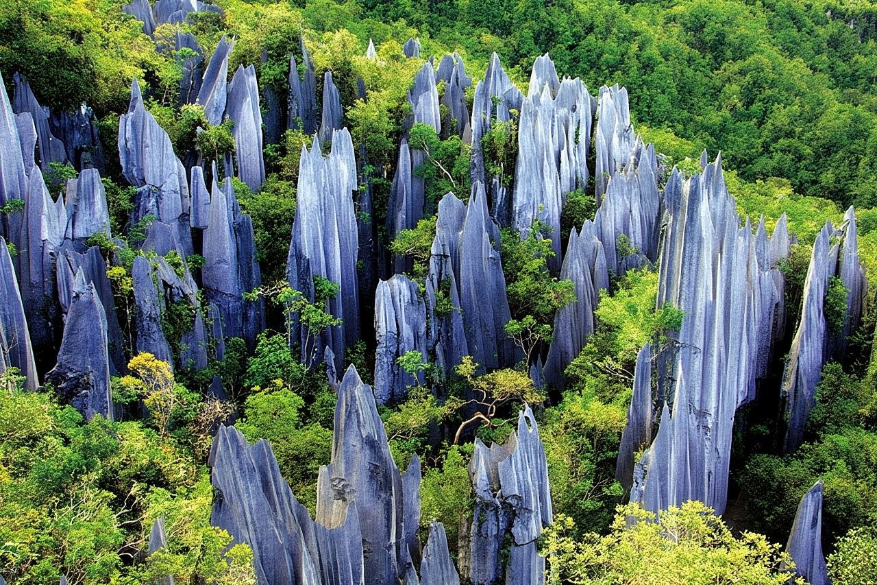 Kunming Private Day Tour to Stone Forest and Chengzi Ancient Town