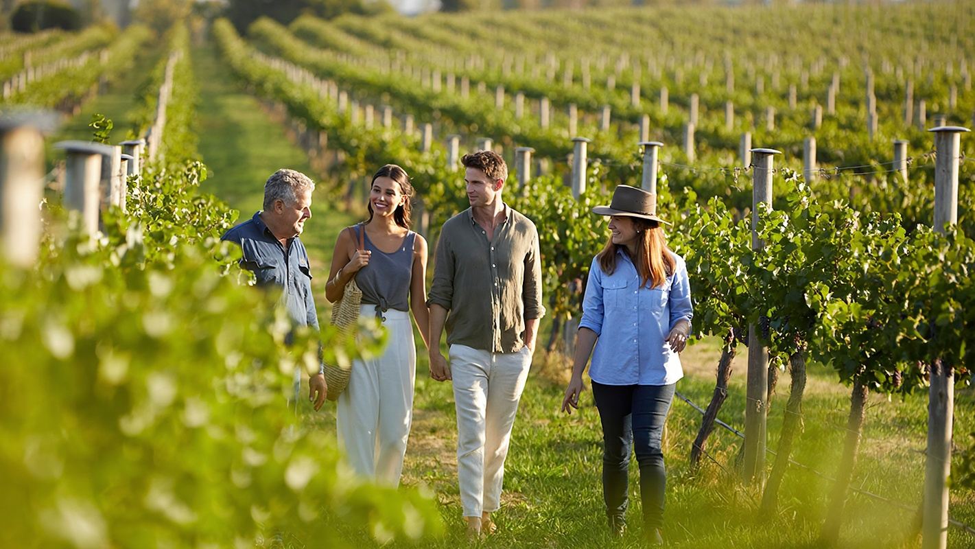 悉尼獵人谷一日遊【市區出發丨酒莊品酒丨拍攝聖地丨海灘漫步】