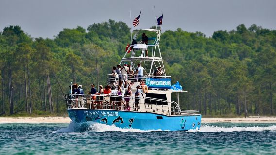 Frisky Mermaid Public Dolphin + Sightseeing Cruise Up to 49 Pax