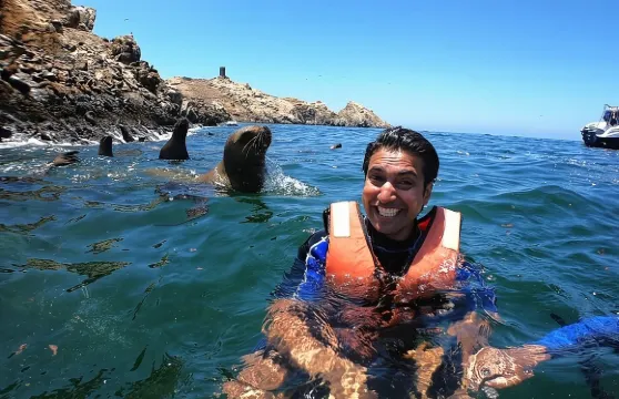 在帕洛米諾利馬群島與海獅一起游泳